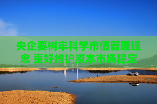 央企要树牢科学市值管理理念 更好维护资本市场稳定