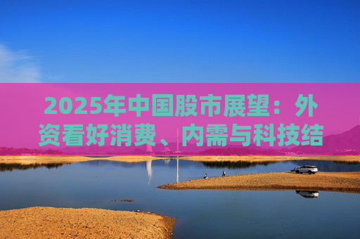 2025年中国股市展望：外资看好消费、内需与科技结构性机