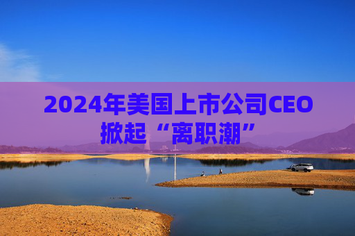 2024年美国上市公司CEO掀起“离职潮”