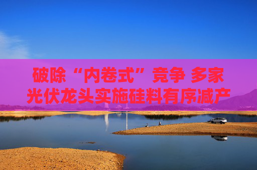 破除“内卷式”竞争 多家光伏龙头实施硅料有序减产