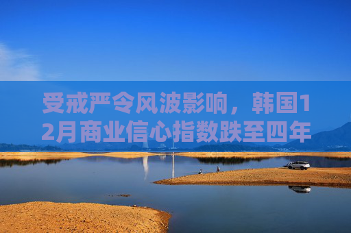 受戒严令风波影响，韩国12月商业信心指数跌至四年多最低