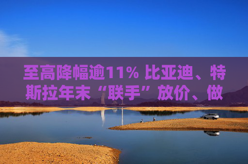 至高降幅逾11% 比亚迪、特斯拉年末“联手”放价、做“龙年”最后冲刺