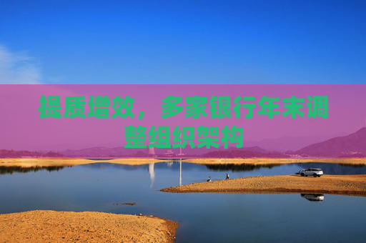 提质增效，多家银行年末调整组织架构