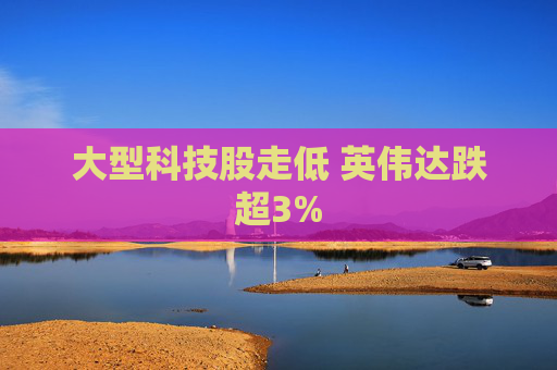 大型科技股走低 英伟达跌超3%