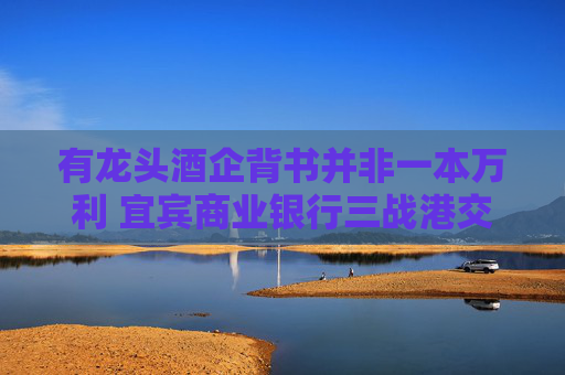 有龙头酒企背书并非一本万利 宜宾商业银行三战港交所