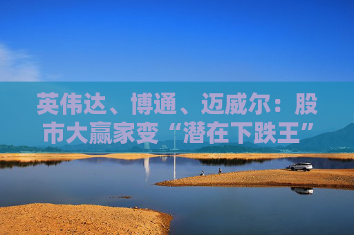 英伟达、博通、迈威尔：股市大赢家变“潜在下跌王”！
