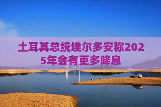 土耳其总统埃尔多安称2025年会有更多降息