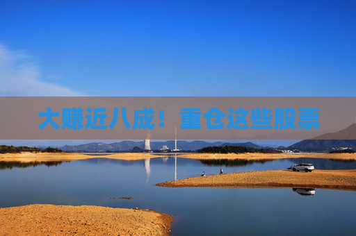 大赚近八成！重仓这些股票