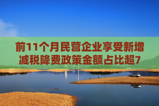 前11个月民营企业享受新增减税降费政策金额占比超70%