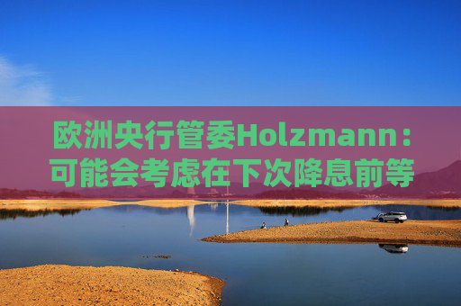 欧洲央行管委Holzmann：可能会考虑在下次降息前等待更长时间