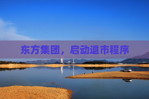 东方集团，启动退市程序