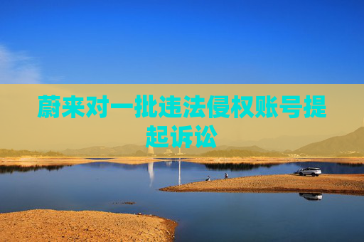 蔚来对一批违法侵权账号提起诉讼