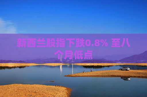 新西兰股指下跌0.8% 至八个月低点
