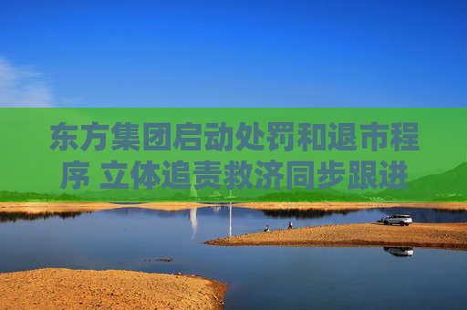 东方集团启动处罚和退市程序 立体追责救济同步跟进