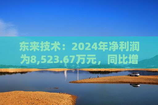 东来技术：2024年净利润为8,523.67万元，同比增长64.95%