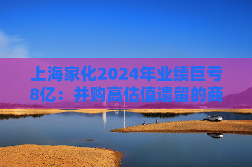 上海家化2024年业绩巨亏8亿：并购高估值遗留的商誉减值 昔日国货美妆龙头如今营收、净利润双双下滑  第1张