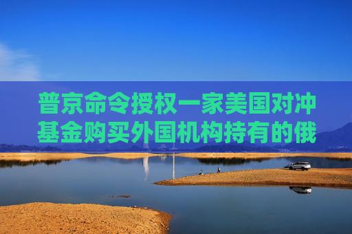 普京命令授权一家美国对冲基金购买外国机构持有的俄罗斯公司证券  第1张