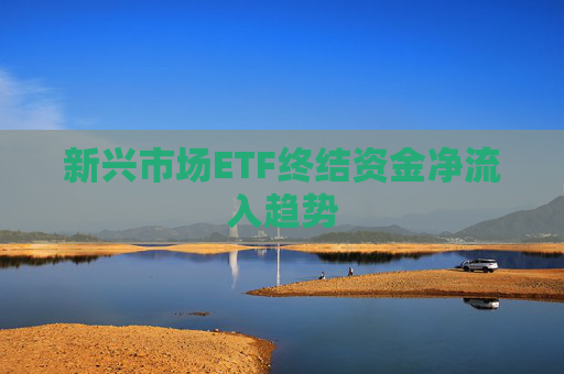 新兴市场ETF终结资金净流入趋势