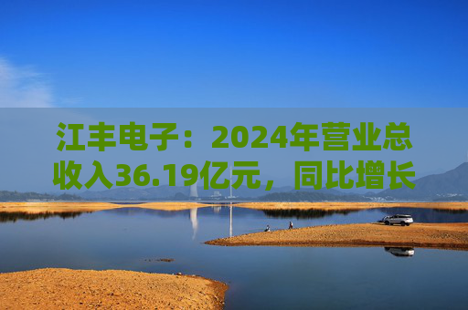 江丰电子：2024年营业总收入36.19亿元，同比增长39.11%
