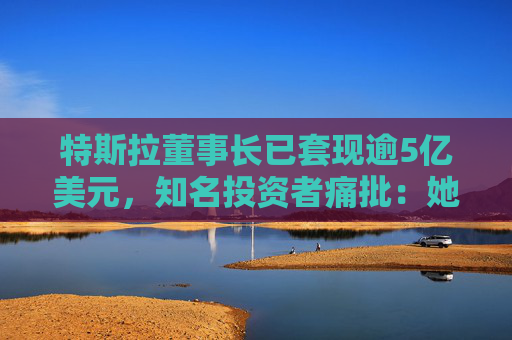 特斯拉董事长已套现逾5亿美元，知名投资者痛批：她被收买了，只代表马斯克
