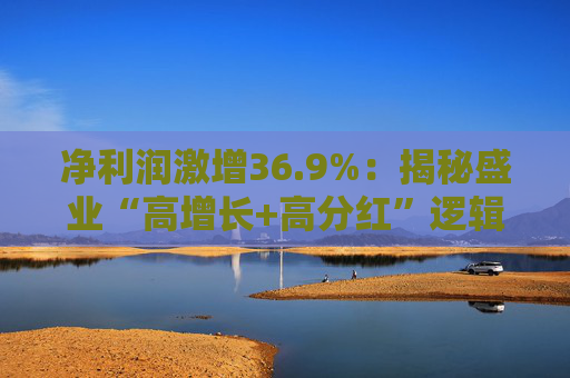 净利润激增36.9%：揭秘盛业“高增长+高分红”逻辑