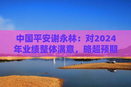 中国平安谢永林：对2024年业绩整体满意，略超预期