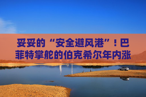 妥妥的“安全避风港”! 巴菲特掌舵的伯克希尔年内涨幅直奔20%  第1张