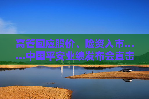 高管回应股价、险资入市……中国平安业绩发布会直击