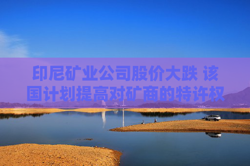 印尼矿业公司股价大跌 该国计划提高对矿商的特许权使用费  第1张