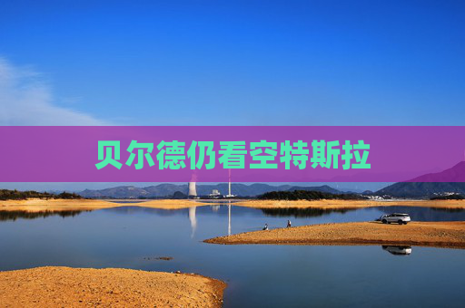 贝尔德仍看空特斯拉  第1张