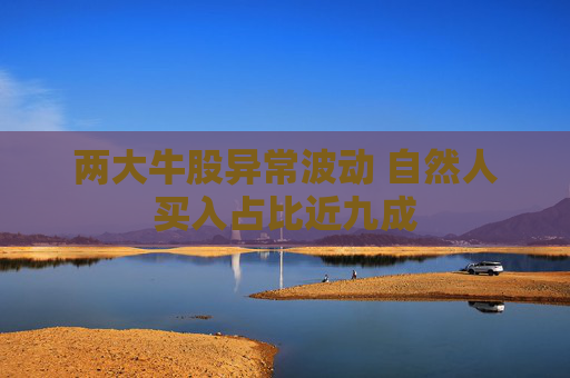 两大牛股异常波动 自然人买入占比近九成