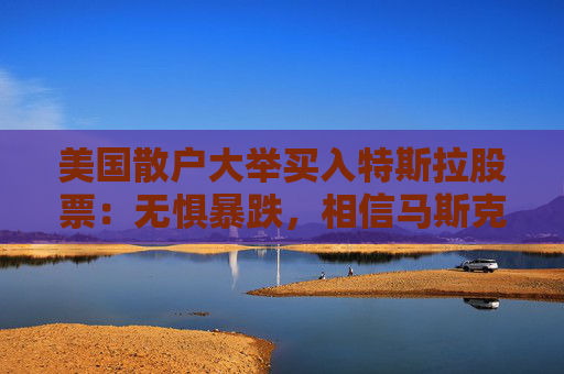 美国散户大举买入特斯拉股票：无惧暴跌，相信马斯克就好！