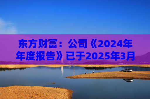 东方财富：公司《2024年年度报告》已于2025年3月15日披露  第1张