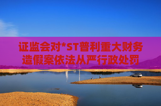 证监会对*ST普利重大财务造假案依法从严行政处罚