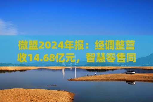 微盟2024年报：经调整营收14.68亿元，智慧零售同比内生增长5.2%  第1张