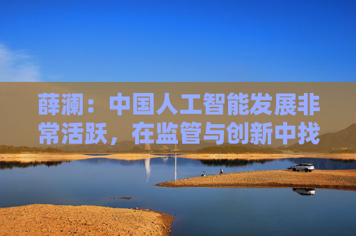 薛澜：中国人工智能发展非常活跃，在监管与创新中找到平衡  第1张