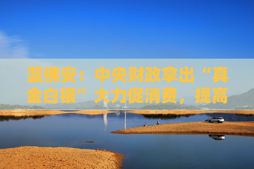 蓝佛安：中央财政拿出“真金白银”大力促消费，提高养老金、发放育儿补贴等增强消费能力