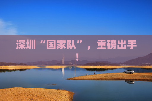 深圳“国家队”，重磅出手！  第1张