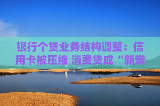 银行个贷业务结构调整：信用卡被压缩 消费贷成“新宠”  第1张