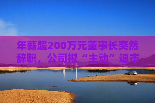年薪超200万元董事长突然辞职，公司拟“主动”退市，曾因欠税766万元遭约谈