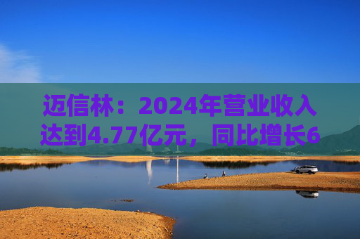 迈信林：2024年营业收入达到4.77亿元，同比增长62.38%  第1张