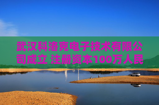 武汉科洛克电子技术有限公司成立 注册资本100万人民币