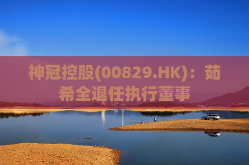 神冠控股(00829.HK)：茹希全退任执行董事