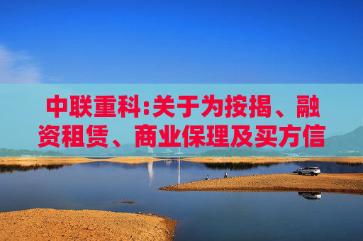 中联重科:关于为按揭、融资租赁、商业保理及买方信贷业务提供担保额度的公告  第1张