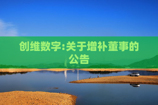 创维数字:关于增补董事的公告