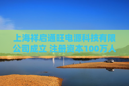上海祥启通旺电源科技有限公司成立 注册资本100万人民币