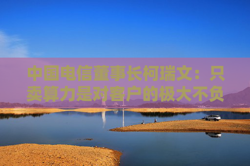 中国电信董事长柯瑞文：只卖算力是对客户的极大不负责