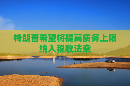 特朗普希望将提高债务上限纳入税收法案