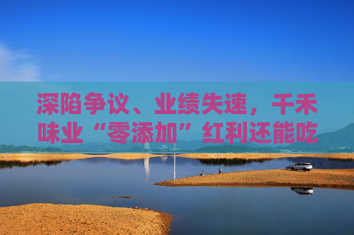 深陷争议、业绩失速，千禾味业“零添加”红利还能吃多久