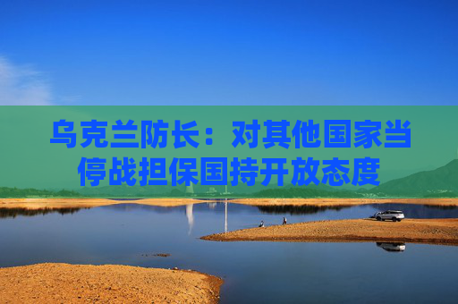 乌克兰防长：对其他国家当停战担保国持开放态度  第1张